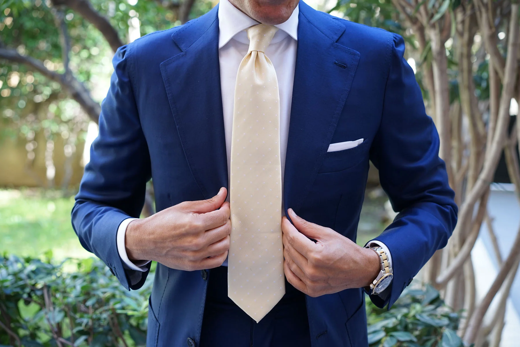 Champagne Polka Dot Necktie - Image 7