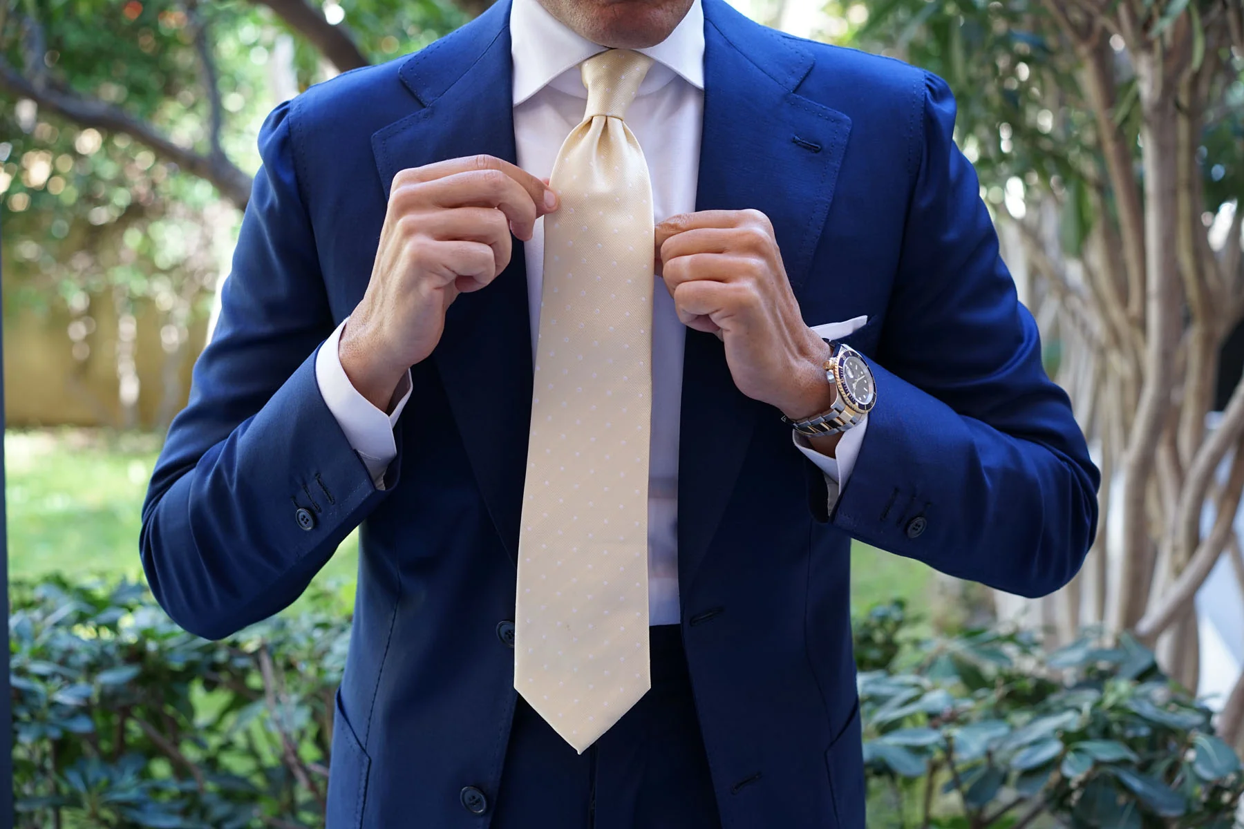 Champagne Polka Dot Necktie - Image 9