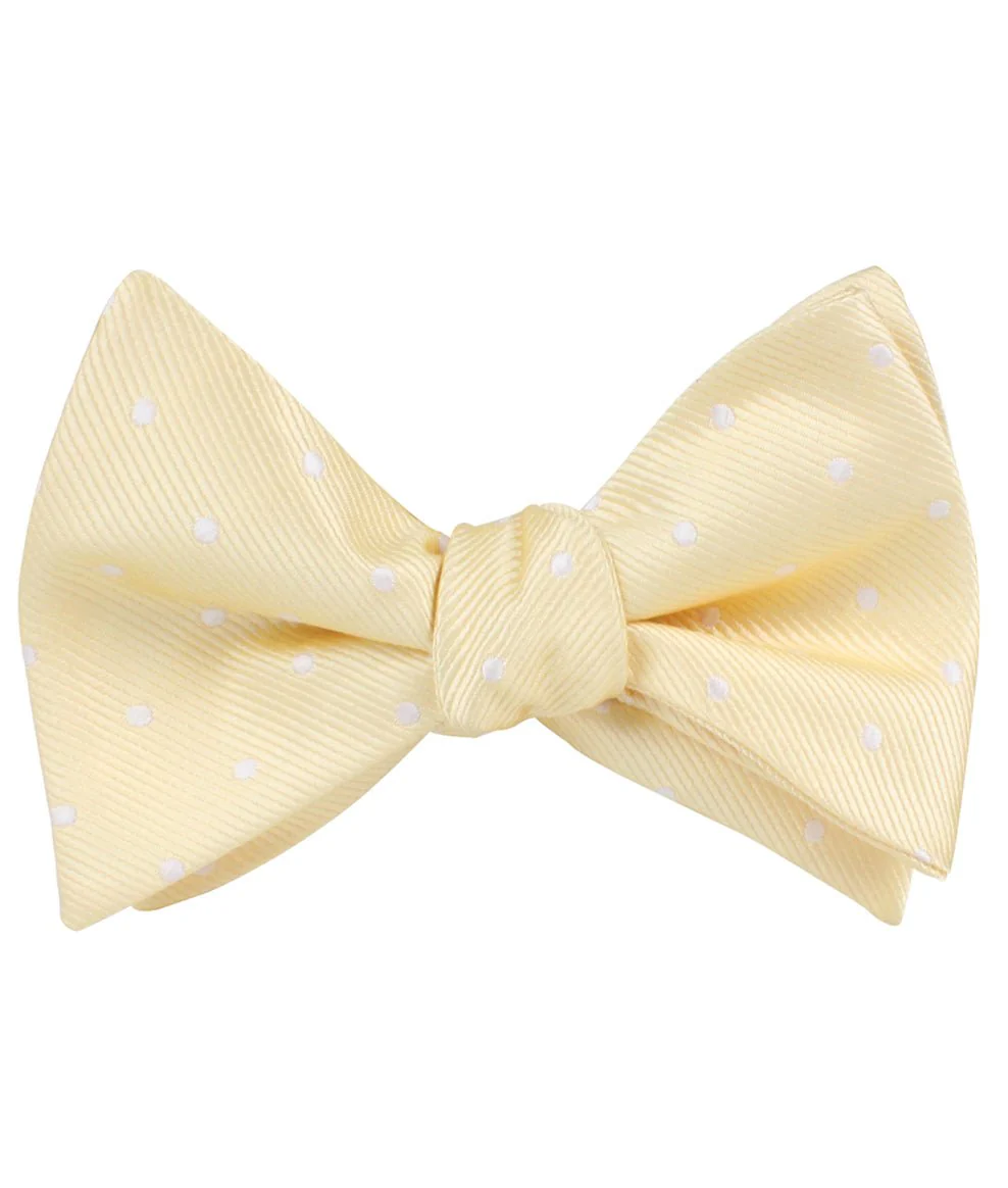 Champagne Polka Dot Self Bow Tie - Image 2