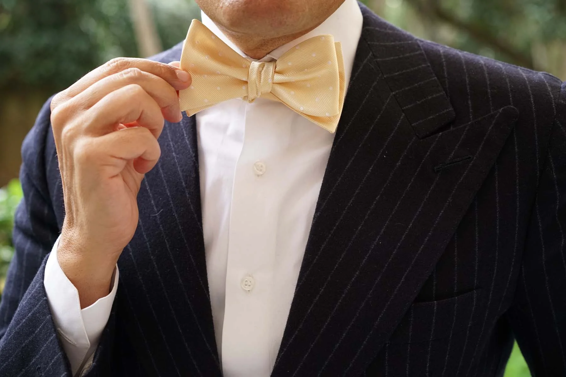 Champagne Polka Dot Self Bow Tie - Image 7