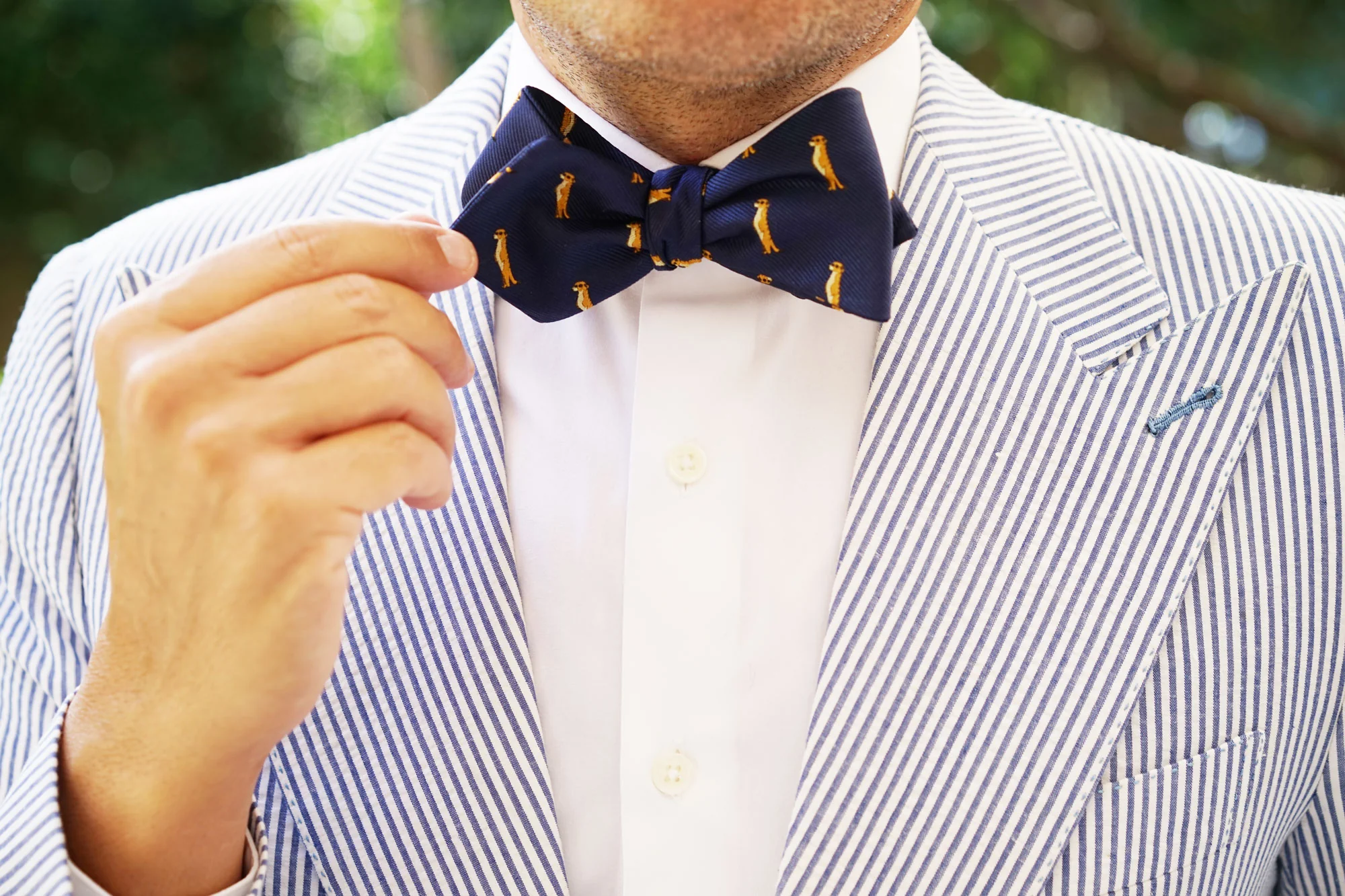 Meerkat Diamond Self Bow Tie - Image 9