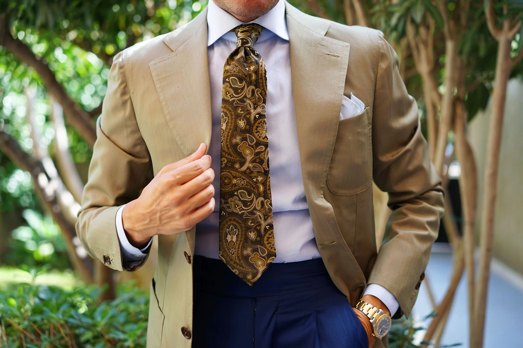 Persian Paisley Brown Tie - Image 6