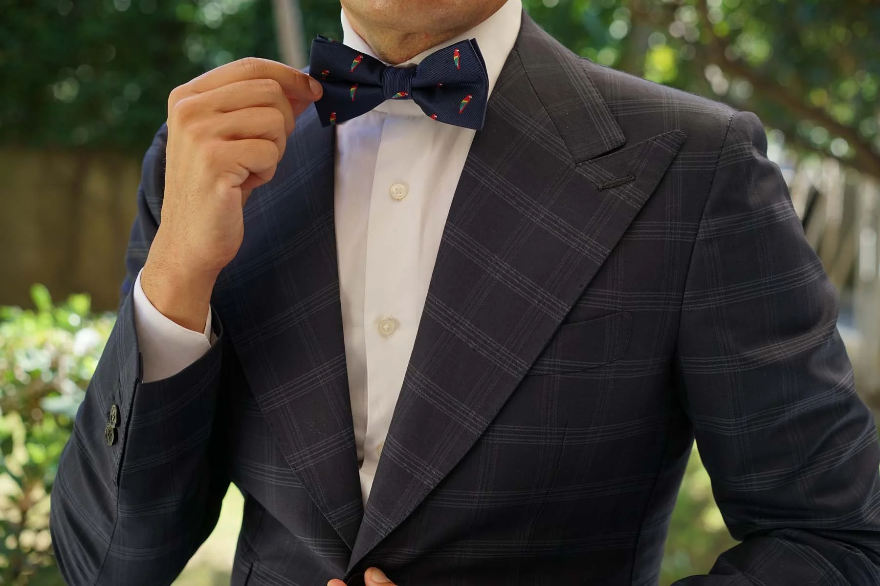 Rainbow Parrot Bow Tie - Image 3